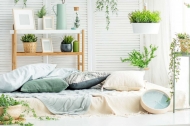 Mách bạn cách làm thơm phòng ngủ tự nhiên tại nhà