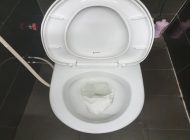 Cách xử lý bồn cầu bị nghẹt giấy tại nhà nhanh gọn