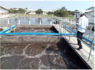 Công ty cung cấp vận chuyển bùn vi sinh Vĩnh Long chất lượng cao