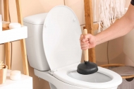 Hướng dẫn dùng bột thông bồn cầu vi sinh