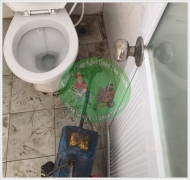 Vì sao không được đổ nước xà phòng bột giặt vào toilet?