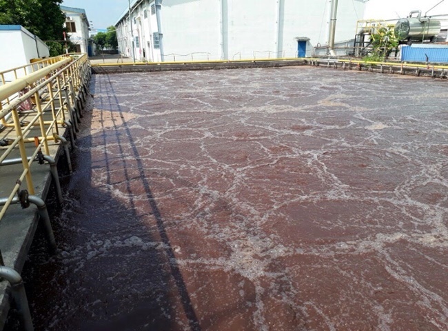 C&ocirc;ng ty cung cấp b&ugrave;n vi sinh Vĩnh Long Th&aacute;i Ph&aacute;t được ưa chuộng