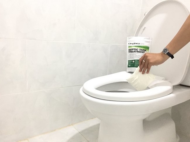 ​C&aacute;c loại men vi sinh được sử dụng nhiều nhất