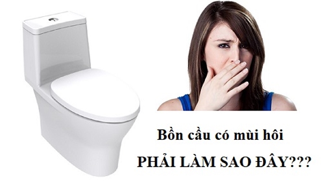 Bồn cầu c&oacute; m&ugrave;i h&ocirc;i kh&oacute; chịu