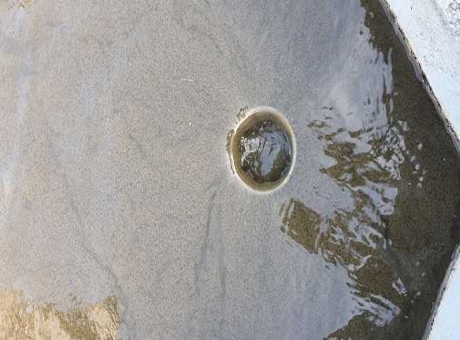 Top 5 công ty cung cấp vận chuyển bùn vi sinh Quận Tân Phú